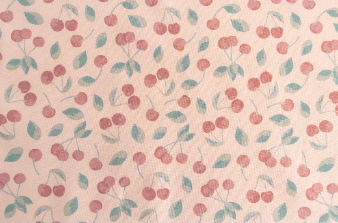 ペッピーキッズクラブ　モラモラケース　ハンドメイド