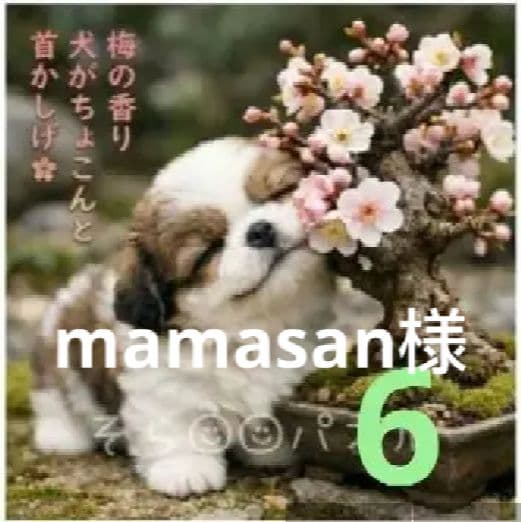 ご確認用　mamasan様 ハンカチシーズーちゃん柄2/19