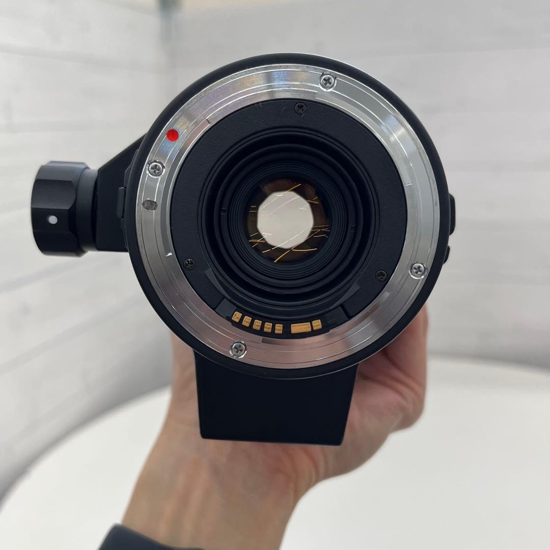 Canon用 SIGMA APO 170-500mm F5-6.3 一眼レフ