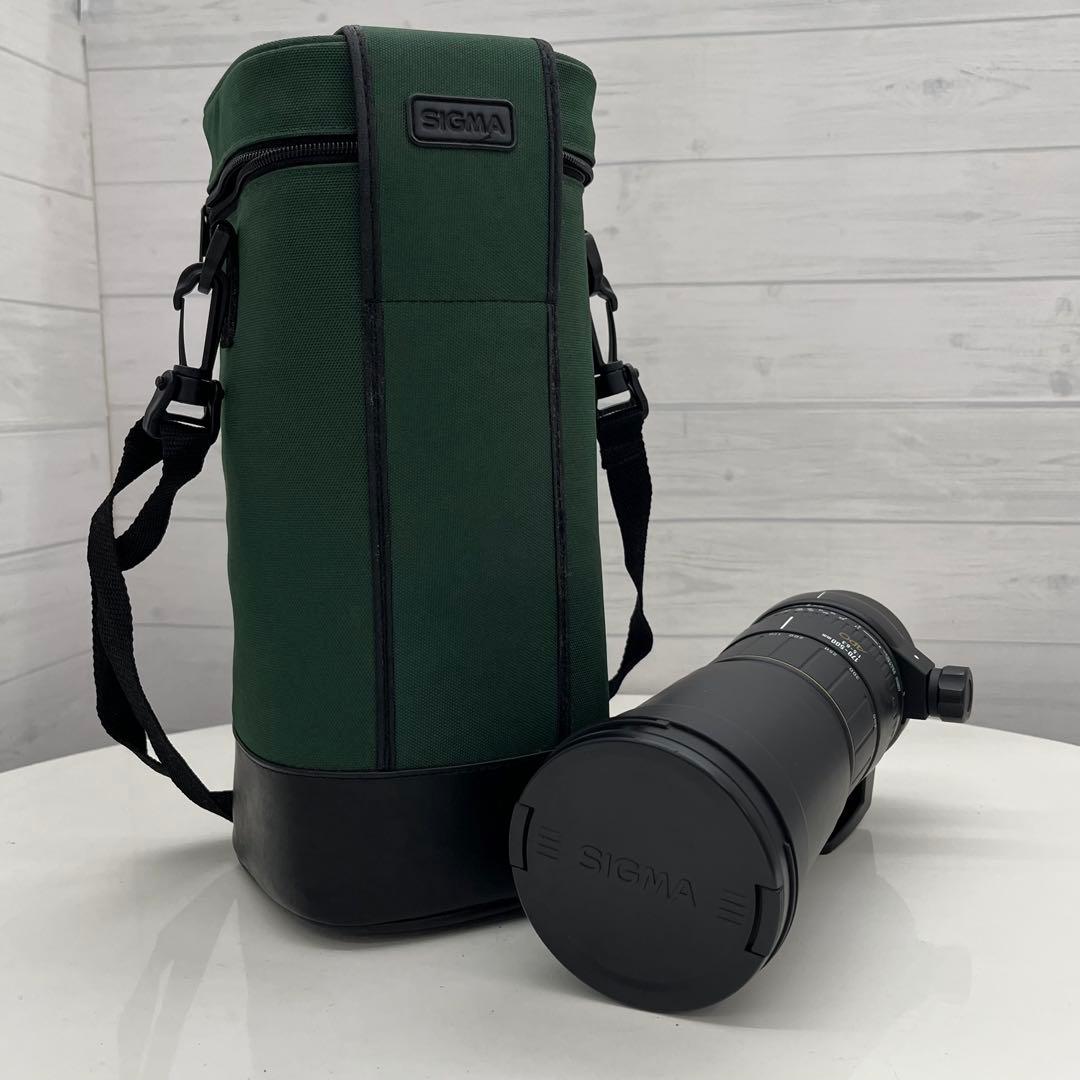 Canon用 SIGMA APO 170-500mm F5-6.3 一眼レフ