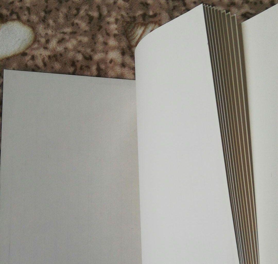 【新品未開封】書道水墨画1980年栄宝斎販売した紅星画仙紙最高級折本集画帳大冊頁