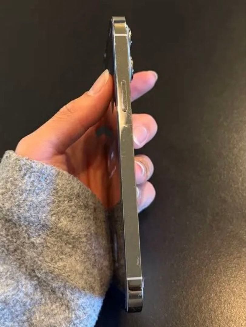 Apple iPhone 13 Pro Max シルバー