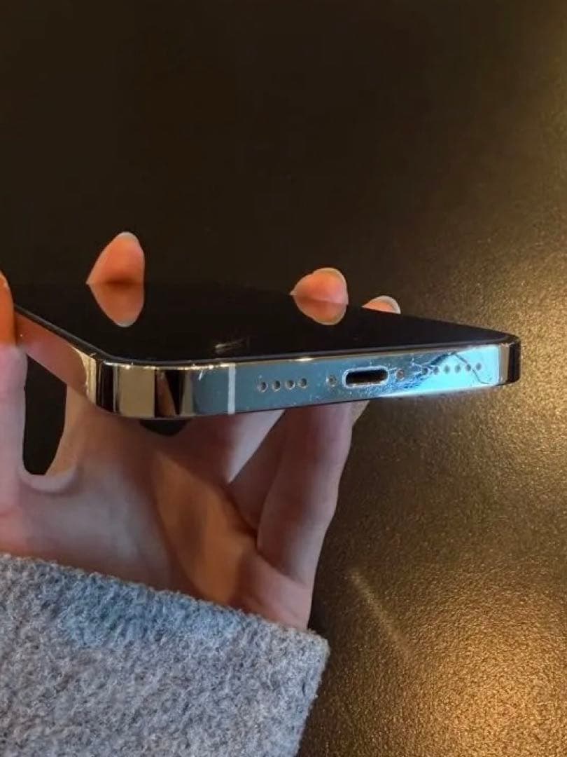Apple iPhone 13 Pro Max シルバー