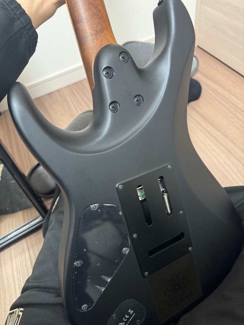 【しおにゃん】ibanez Premium AZ226-BKF