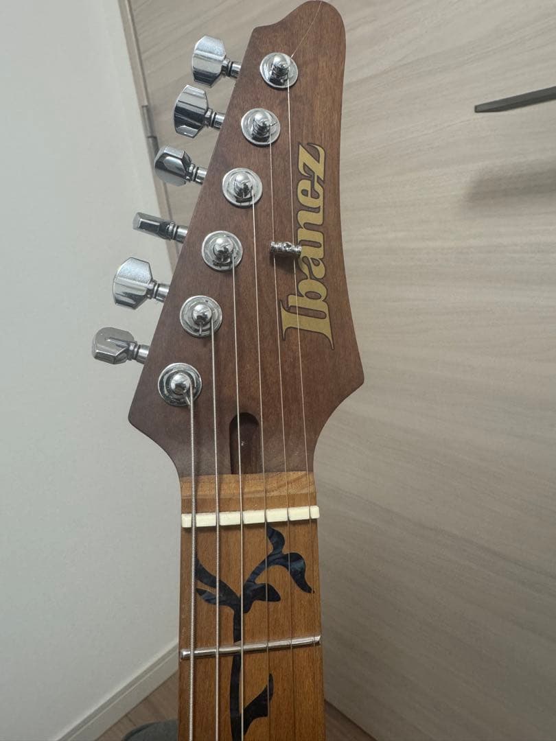 【しおにゃん】ibanez Premium AZ226-BKF