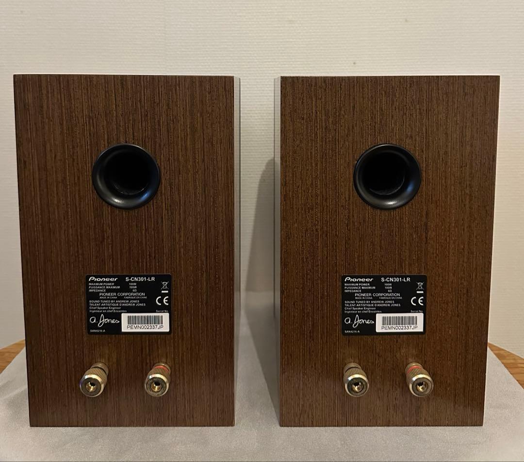 PioneerパイオニアスピーカーS-CN301-LR