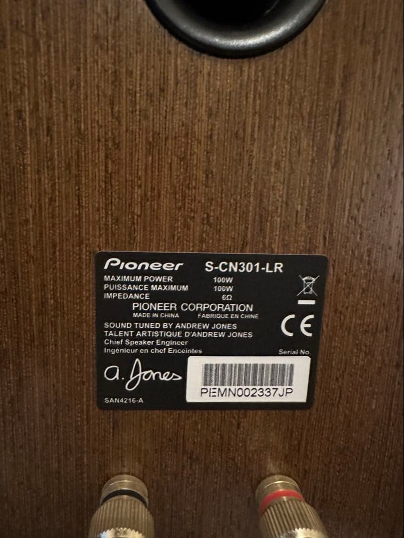 PioneerパイオニアスピーカーS-CN301-LR