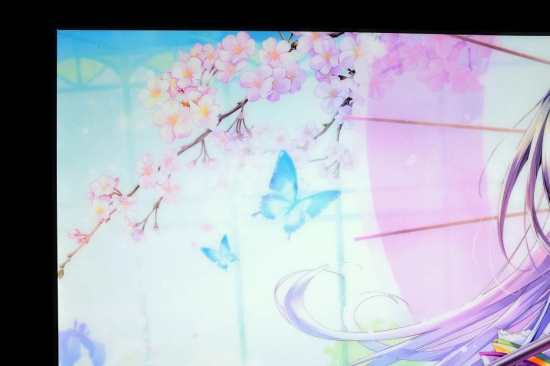 桜もよん B2 HIKARUE ヒカルエ XART 絵守未來 複製原画