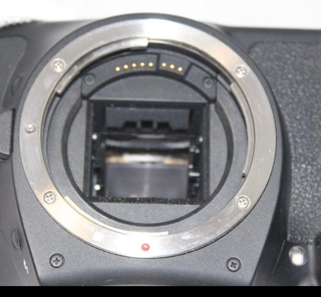 Canon EOS Kiss X5★手ぶれ補正レンズ★スマホ転送可　卒業式