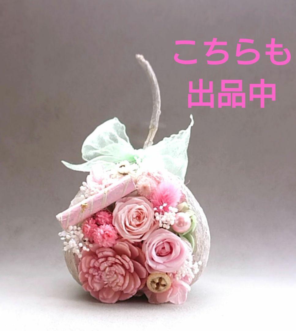 幸せを呼ぶ実  ブッダナッツ(小さめ)【ピンク×水色  ベイビーカラーアレンジ】