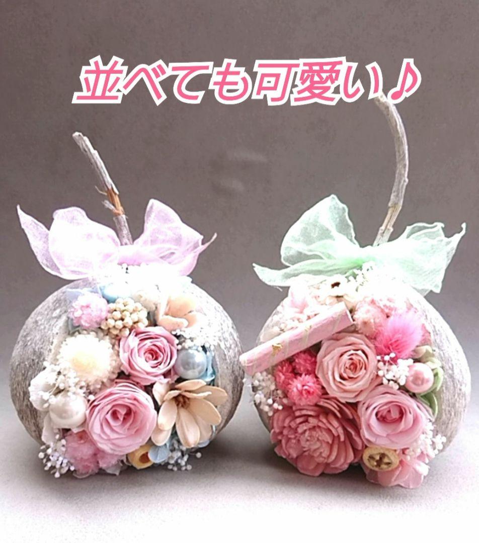 幸せを呼ぶ実  ブッダナッツ(小さめ)【ピンク×水色  ベイビーカラーアレンジ】