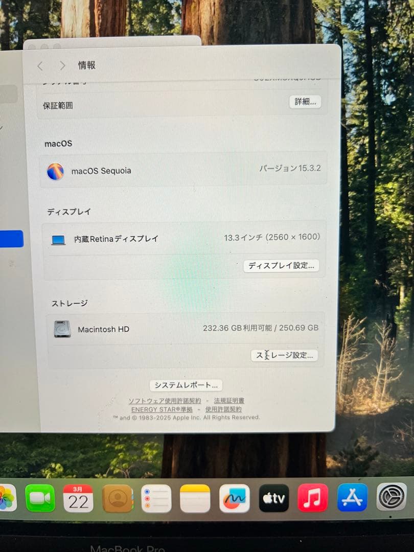 アオイキ