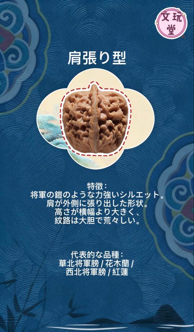 文玩くるみの特徴を知る：10種類の桩型と代表的な品種