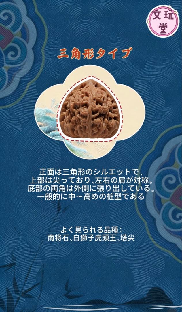 文玩くるみの特徴を知る：10種類の桩型と代表的な品種