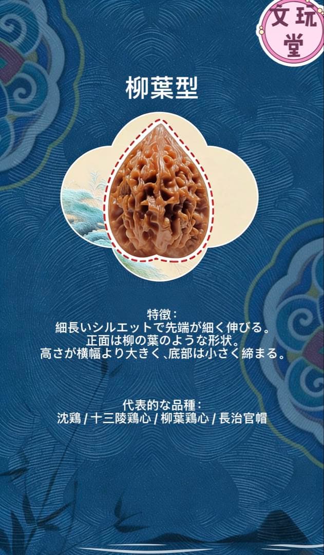 文玩くるみの特徴を知る：10種類の桩型と代表的な品種