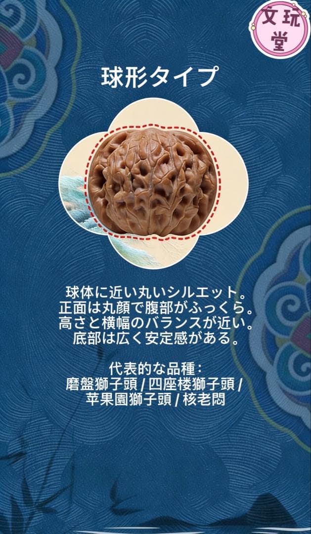 文玩くるみの特徴を知る：10種類の桩型と代表的な品種