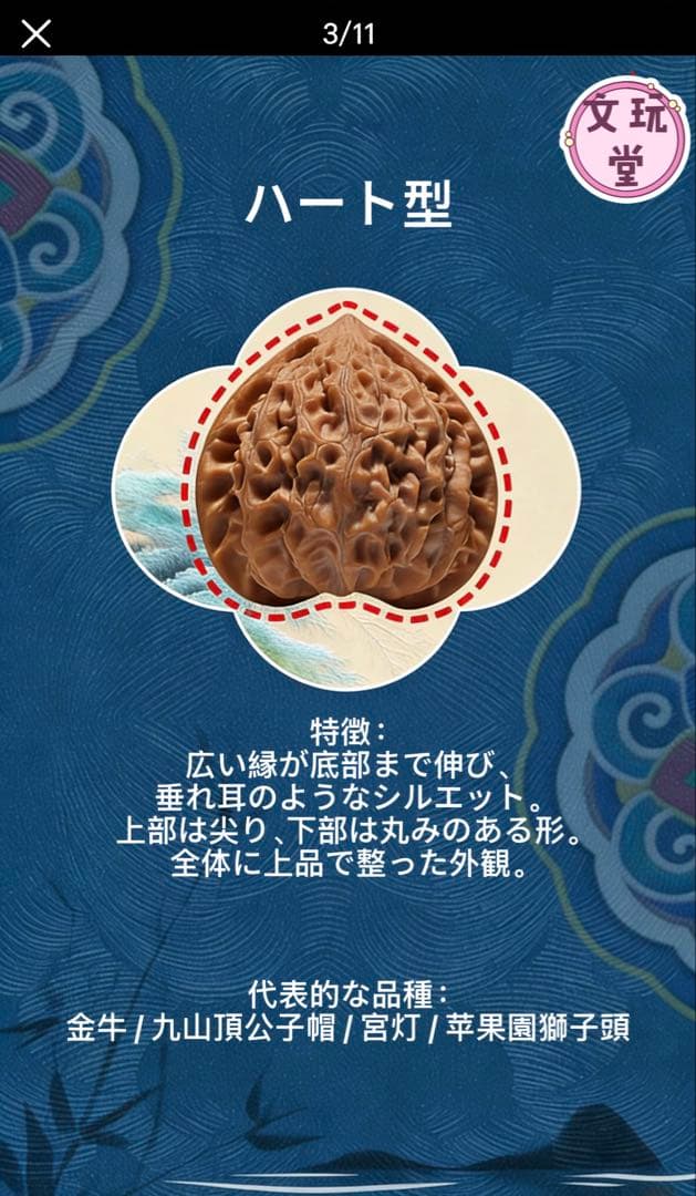 文玩くるみの特徴を知る：10種類の桩型と代表的な品種