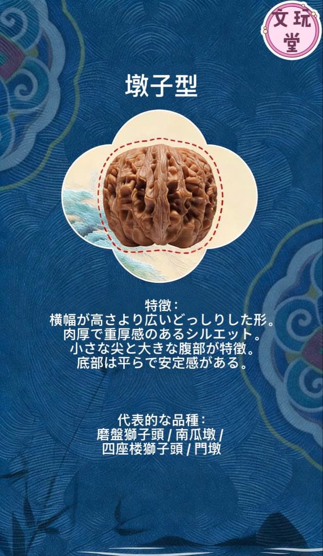 文玩くるみの特徴を知る：10種類の桩型と代表的な品種