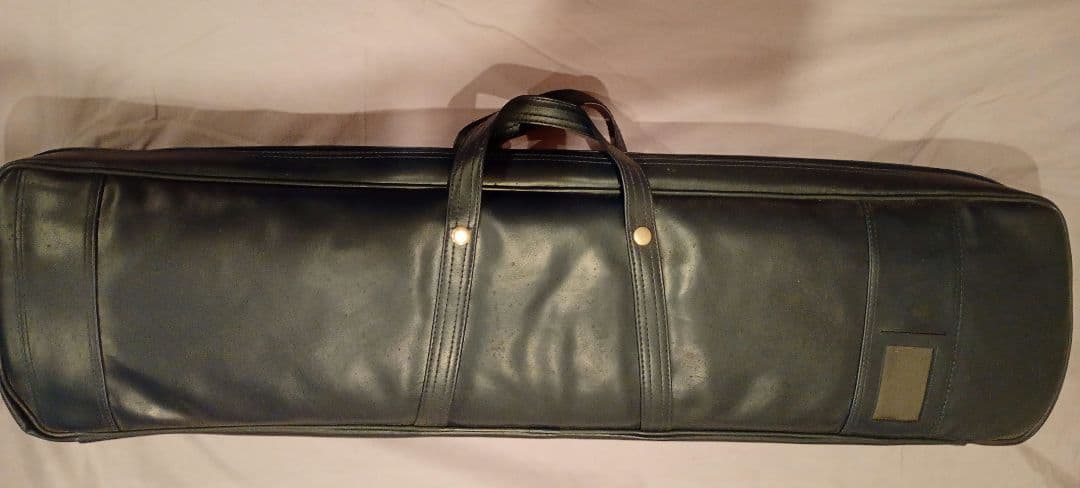 文化箏　ソフトケース付き