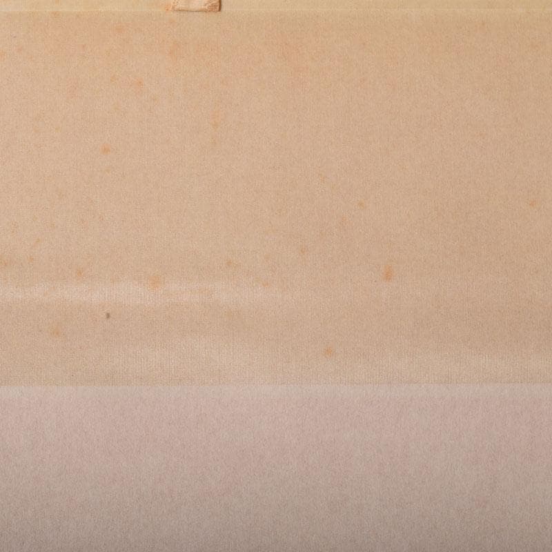 掛軸　宗峯画　「南天に雲の図」　前大徳　小林太玄添書　書付共箱　C　6850A