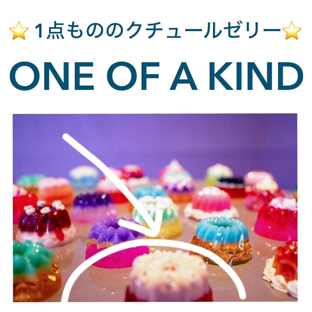 KLOKA ☆クローカ ドールハウス オダニミユキ ミニチュア クチュールゼリー