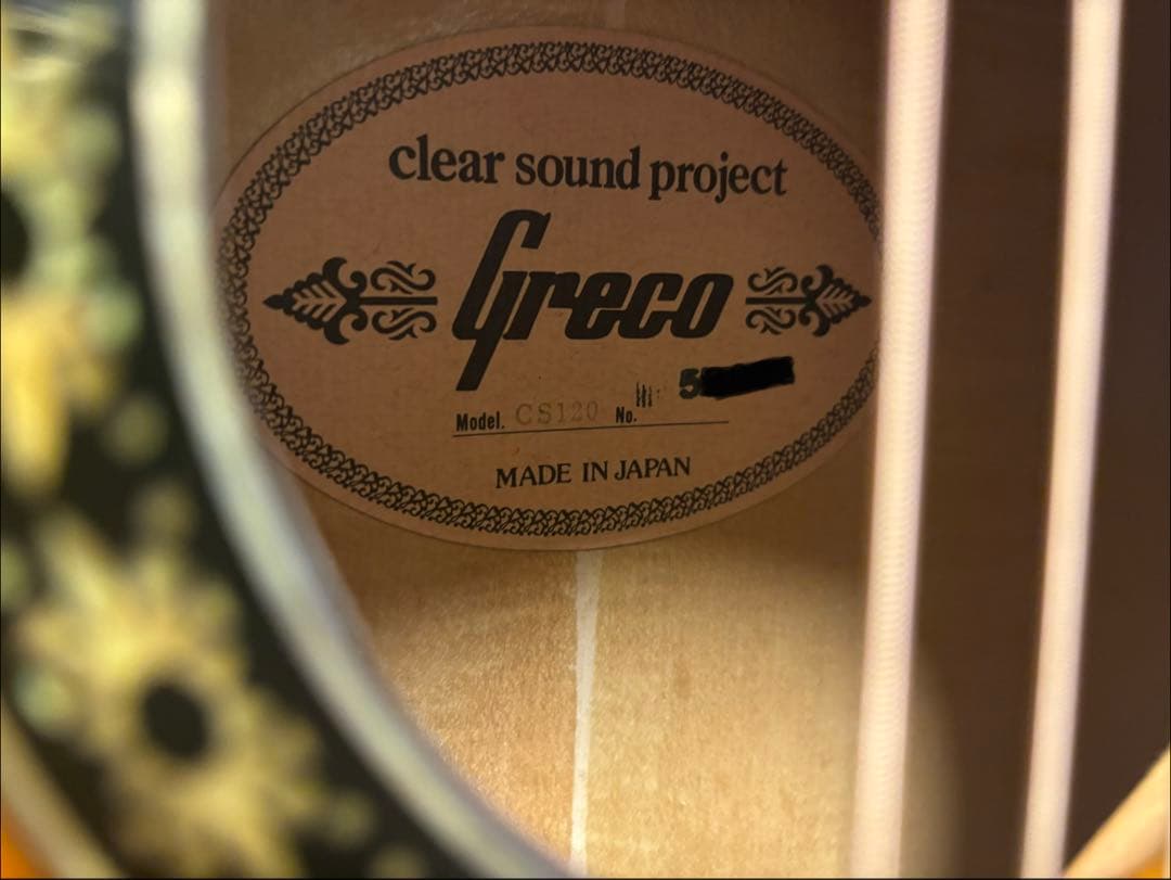 Greco cs120 Clear Sound アコースティックギター