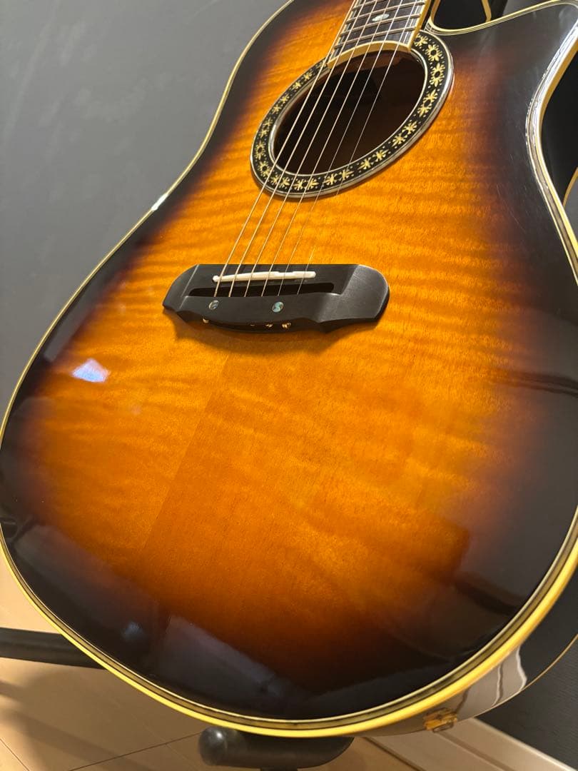 Greco cs120 Clear Sound アコースティックギター