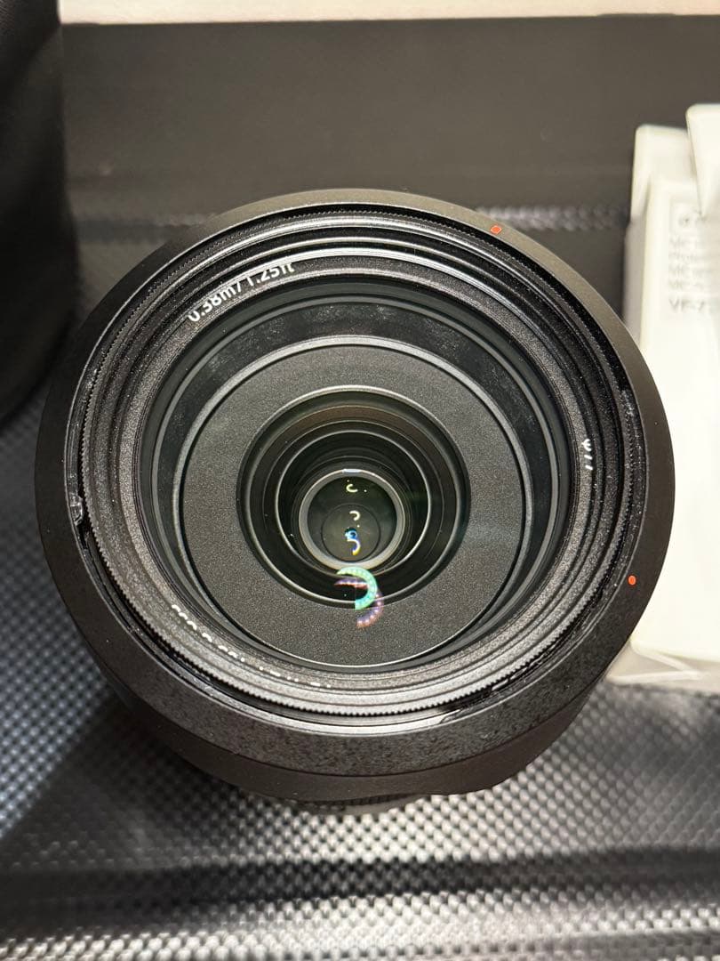 SONY FE24-105 F4 G OOS SEL24105G 偏光