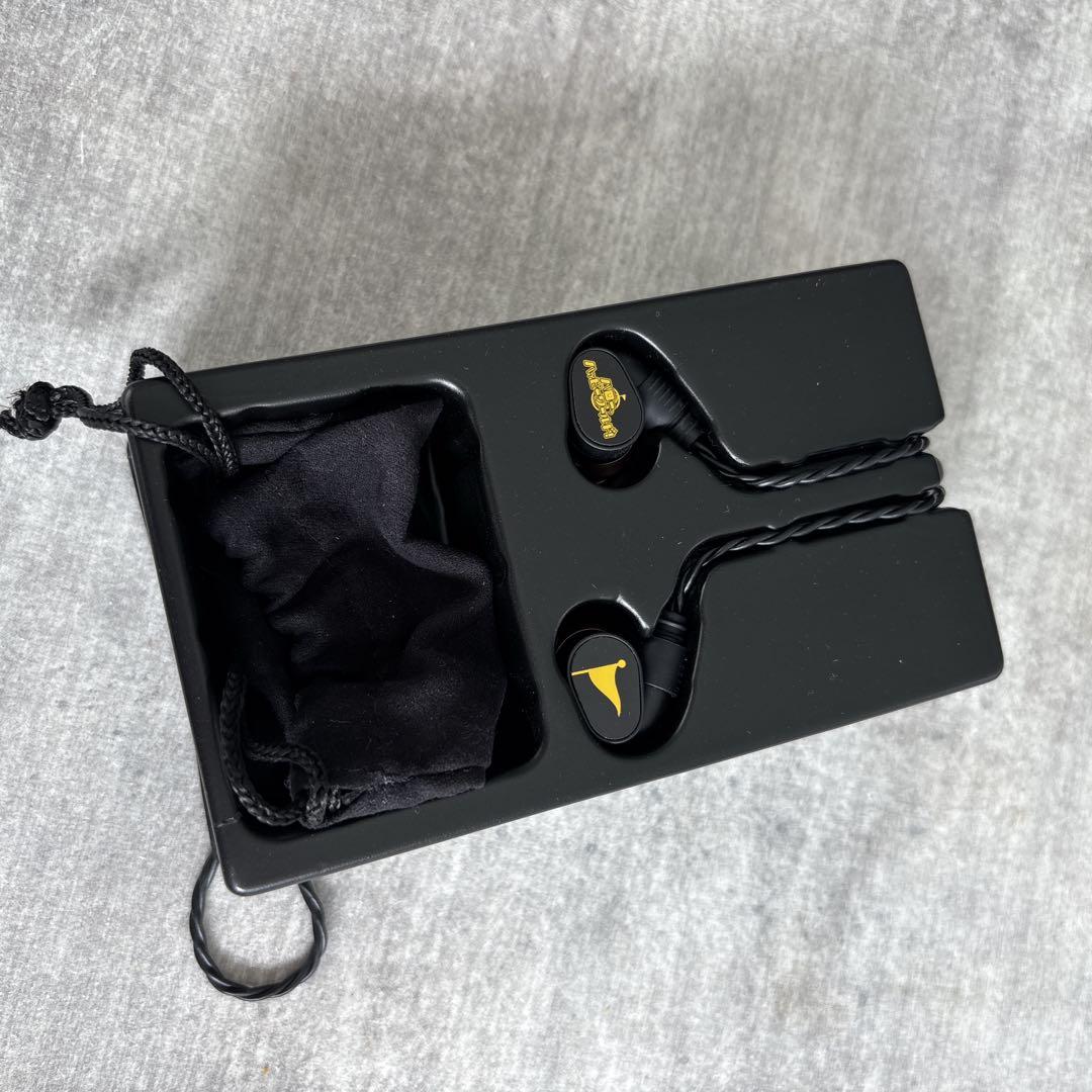 【極美品】Pioneer ガールズバンドパーティ イヤホンSE-CH9T
