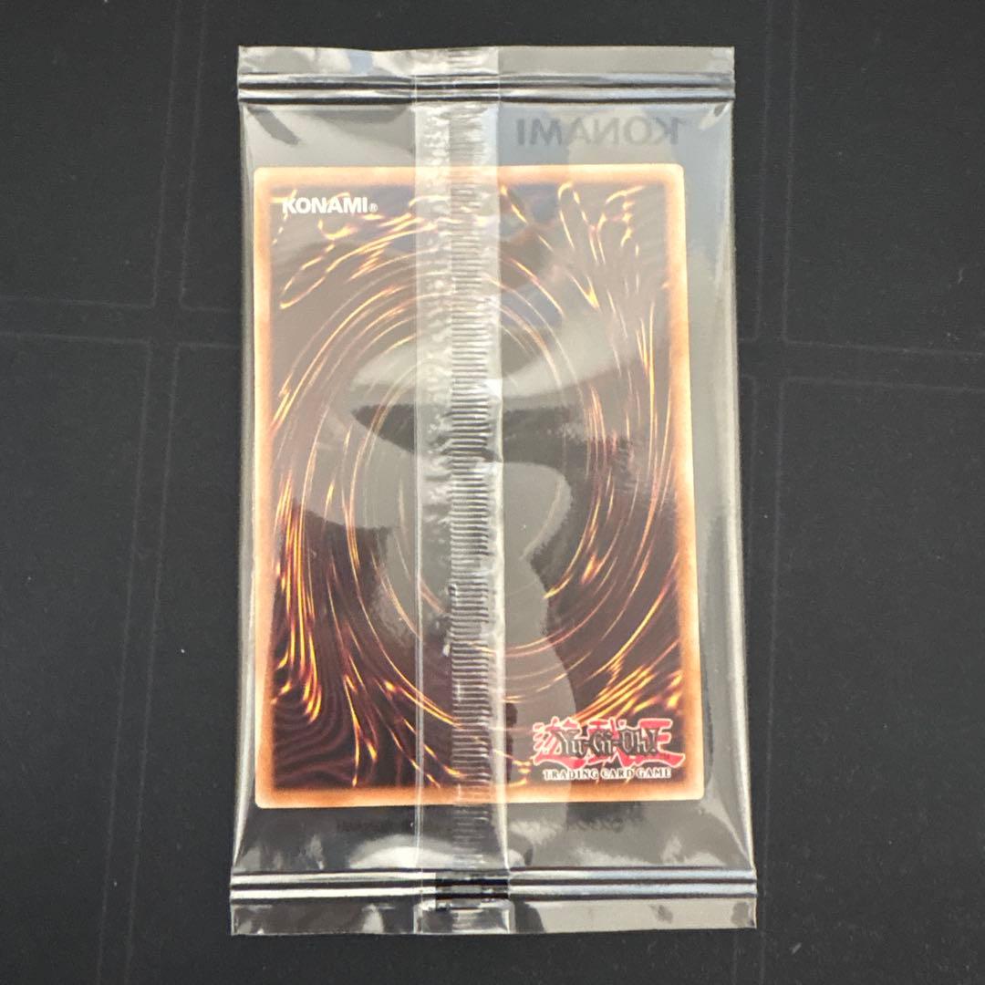 遊戯王 The Lady's Protectors 店舗予選 日本選手権