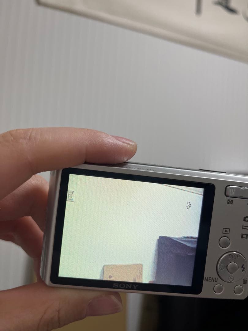ソニー SONY DSC-W530 サイバーショット コンパクトデジタルカメラ