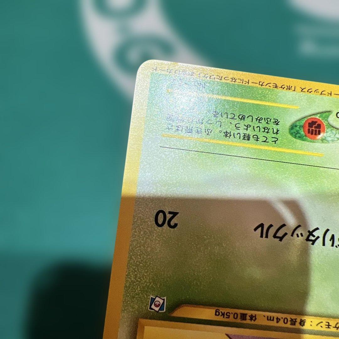 ポケモンカード旧裏　ポケモンカードになったわけ　　おまけカード　ハネッコ