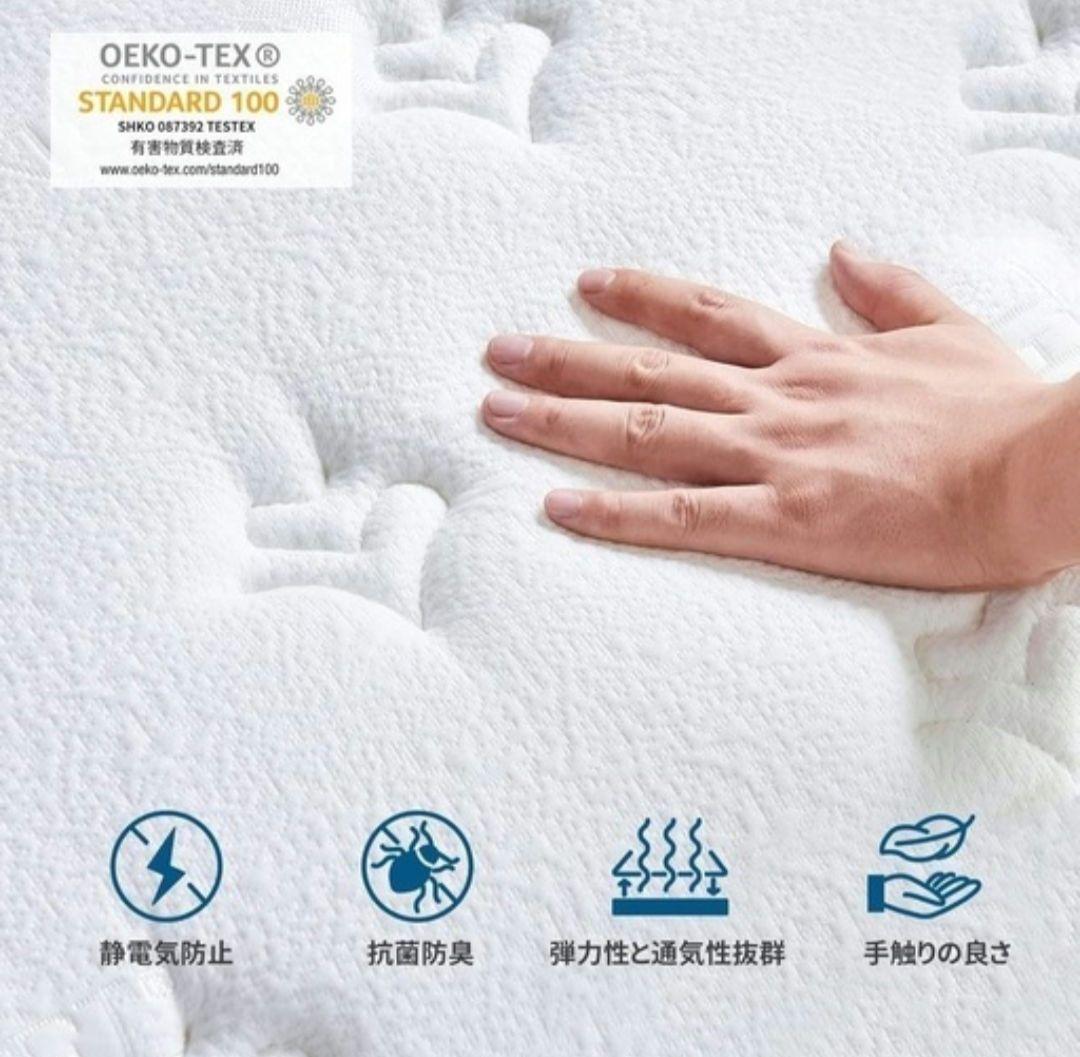 パイプ＆木 ロフトベッド 引取限定