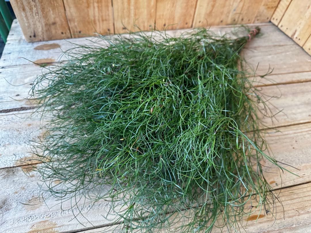 ぽこぽこ様 リクエスト 2点 まとめ商品