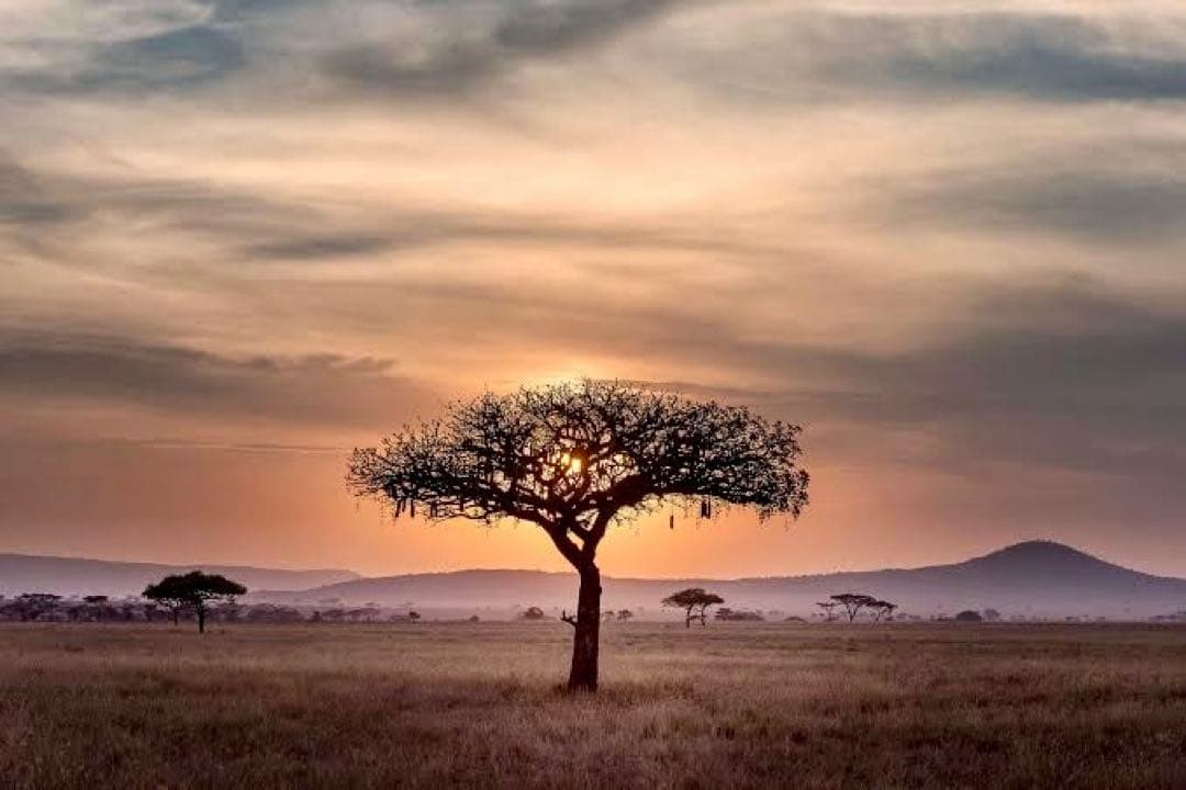 A-m　究極品質　アルティメイト虹のアメジストモンドクオーツ