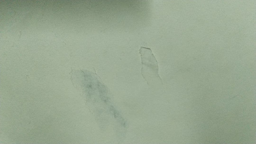 日本画家　丸山石根　民家　写生　破れ穴あり　ルーマニア？