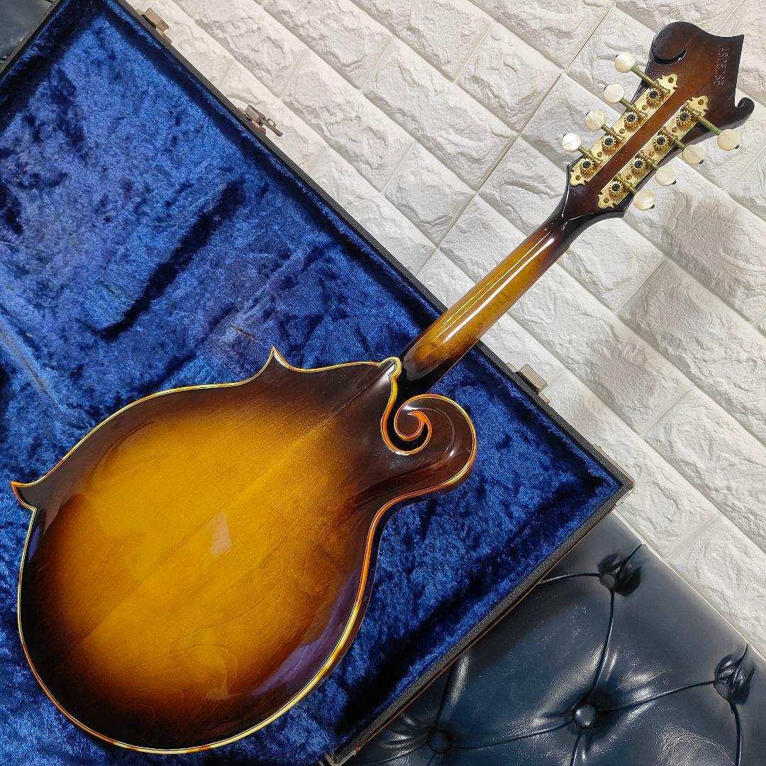 BLUE BELL F-10 マンドリン ブルーベル