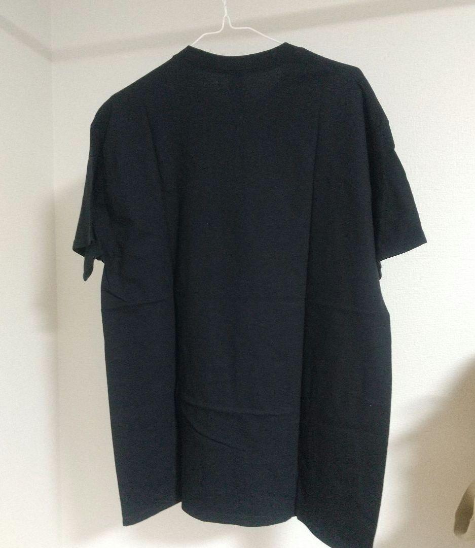 GINGER ROOT ツアーTシャツ 姜根 ジンジャールート GILDAN