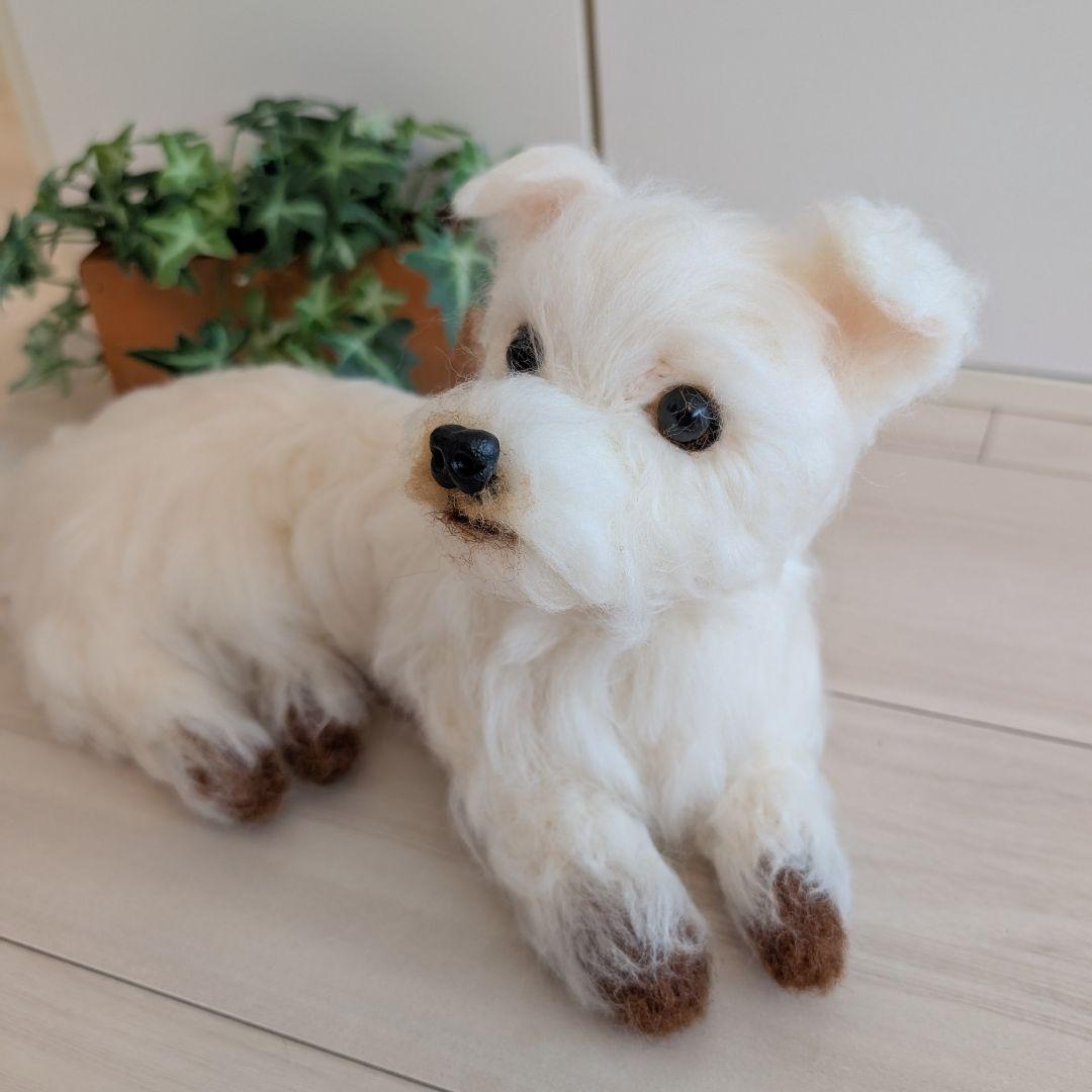 まーちゃんページです