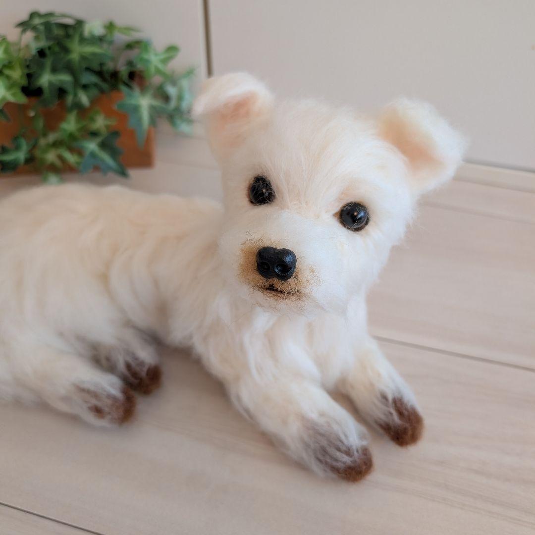 まーちゃんページです