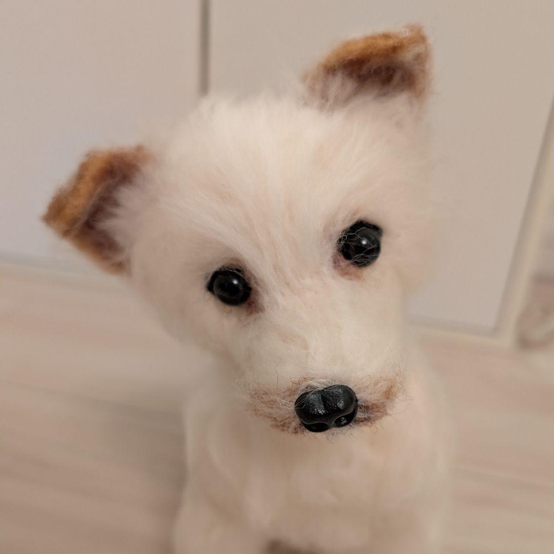 まーちゃんページです