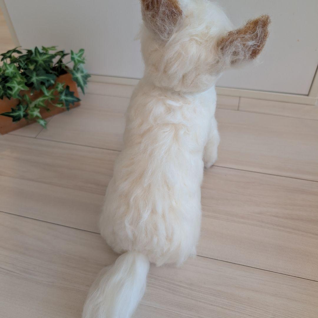 まーちゃんページです