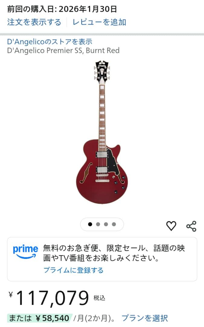 【未使用】D'Angelico Premier SS Burnt Red ギター