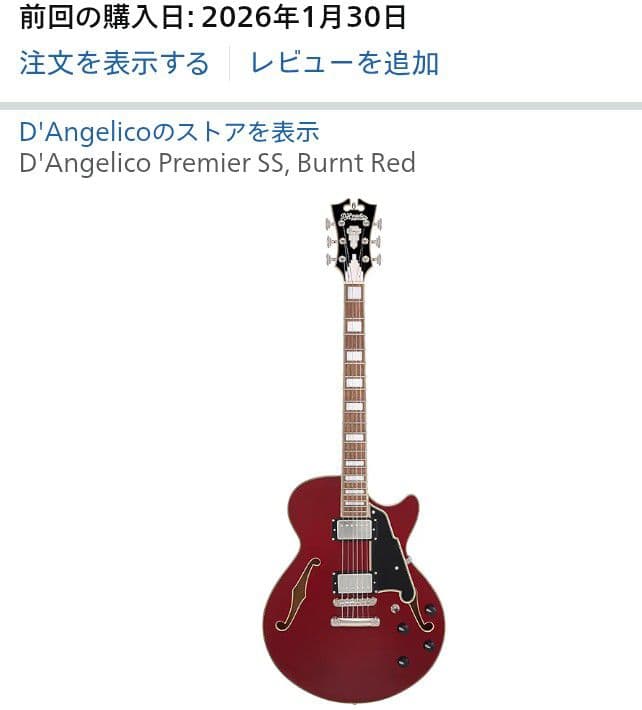 【未使用】D'Angelico Premier SS Burnt Red ギター