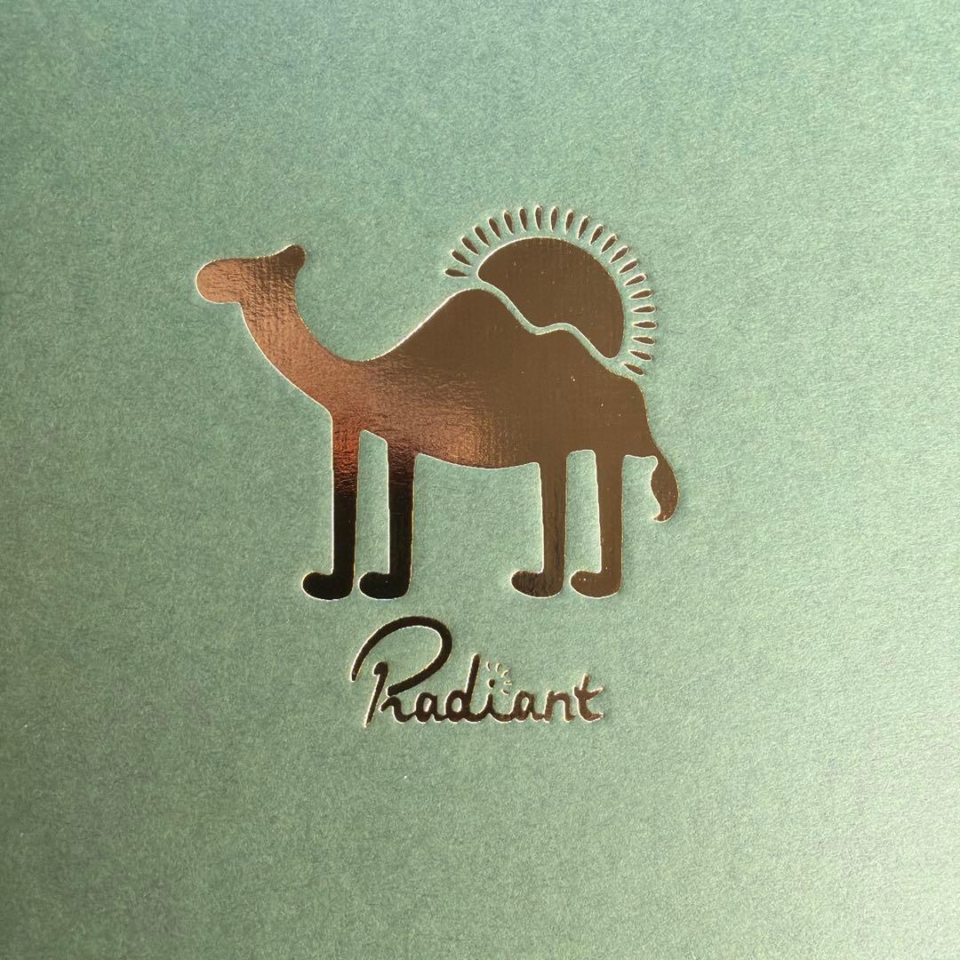 RADIANT（ラディアント）　吊るせるお財布　ブラック　新品未使用