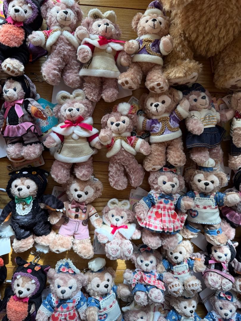 TDS ダッフィー　シェリーメイ　ぬいぐるみバッジ　ポシェット　新品　ディズニー