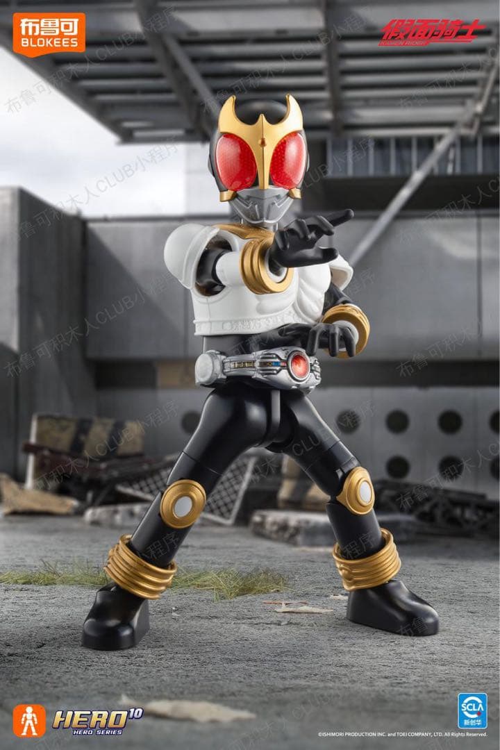 中国限定 blokees 仮面ライダー ブロックフィギュア 6弾　1BOX