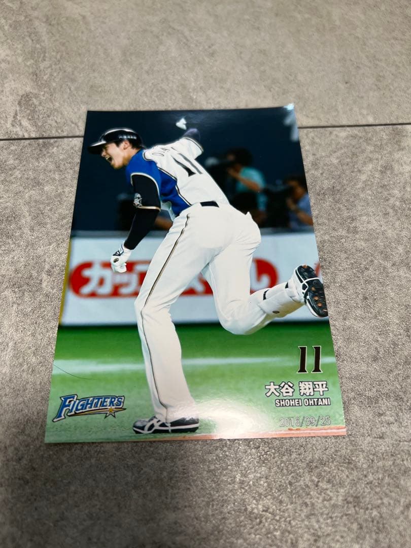 大谷翔平 日本ハムファイターズ 球団公式オフィシャルフォト 5枚セット