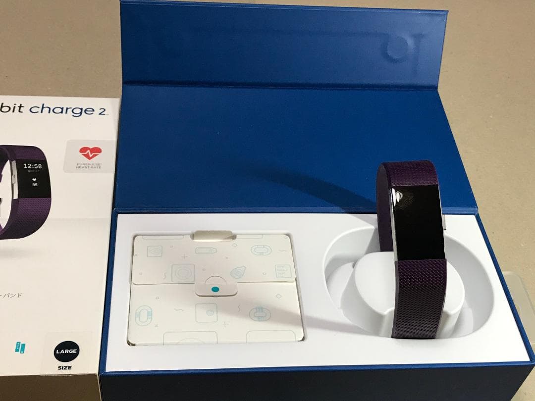 Fitbit Charge2  Plum Lサイズ FB407SPML-JPN