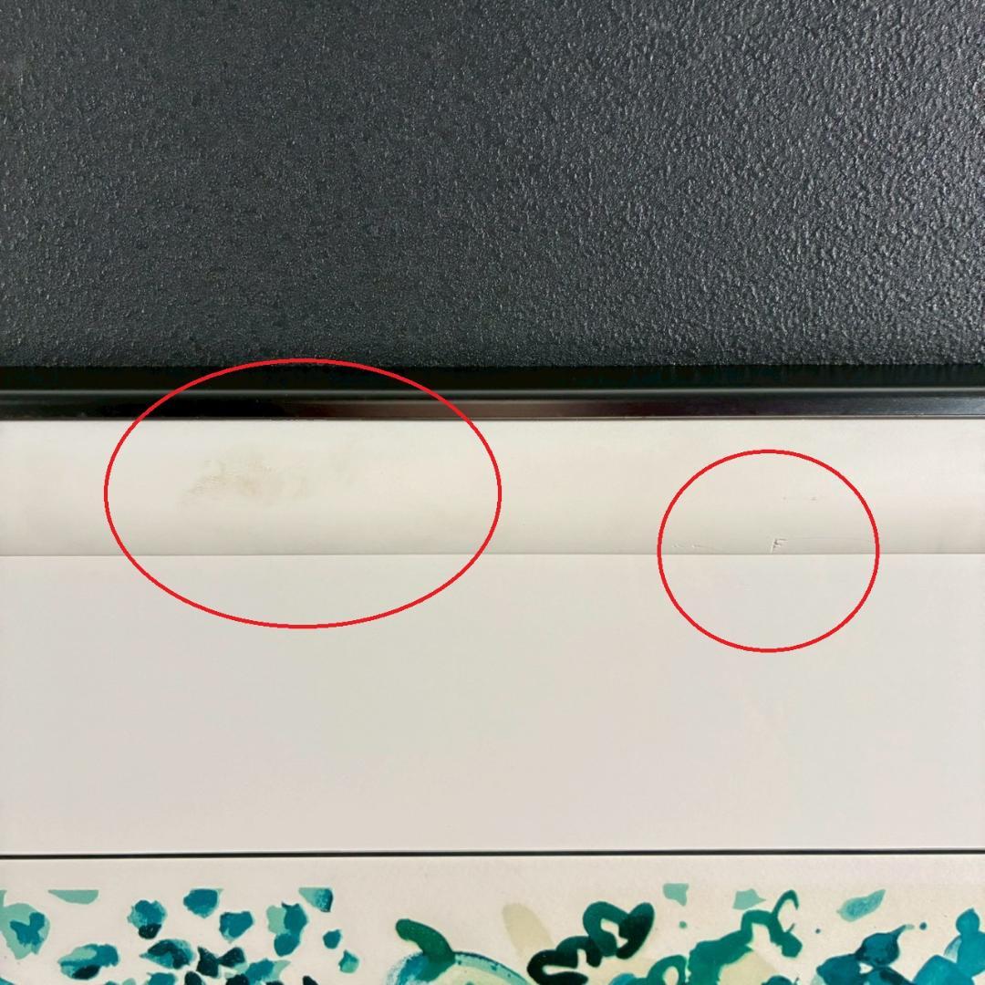 ラウル・デュフィ「シュノンソー」リトグラフ 版上サイン有 フランス近代画家